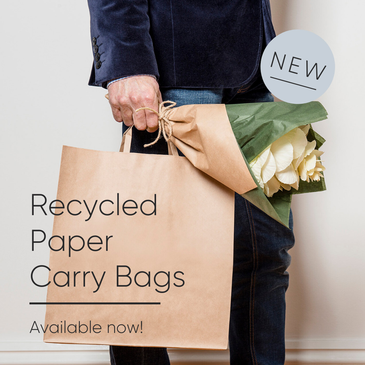 Image of paper carry bag, made from recycled paper from PaperPak