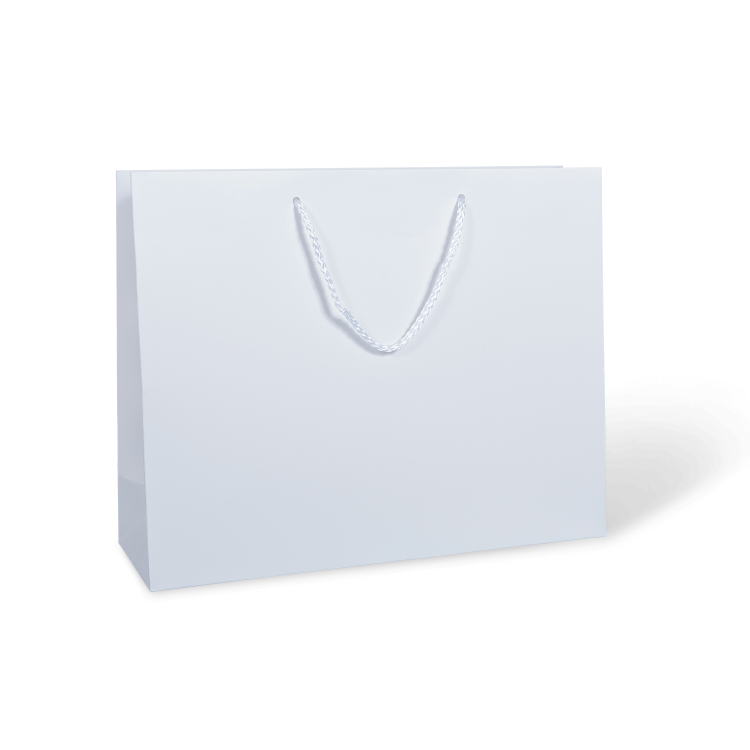 Download WHITE MEDIUM MATTE ROPE HANDLE BAG | CARRY BAGS